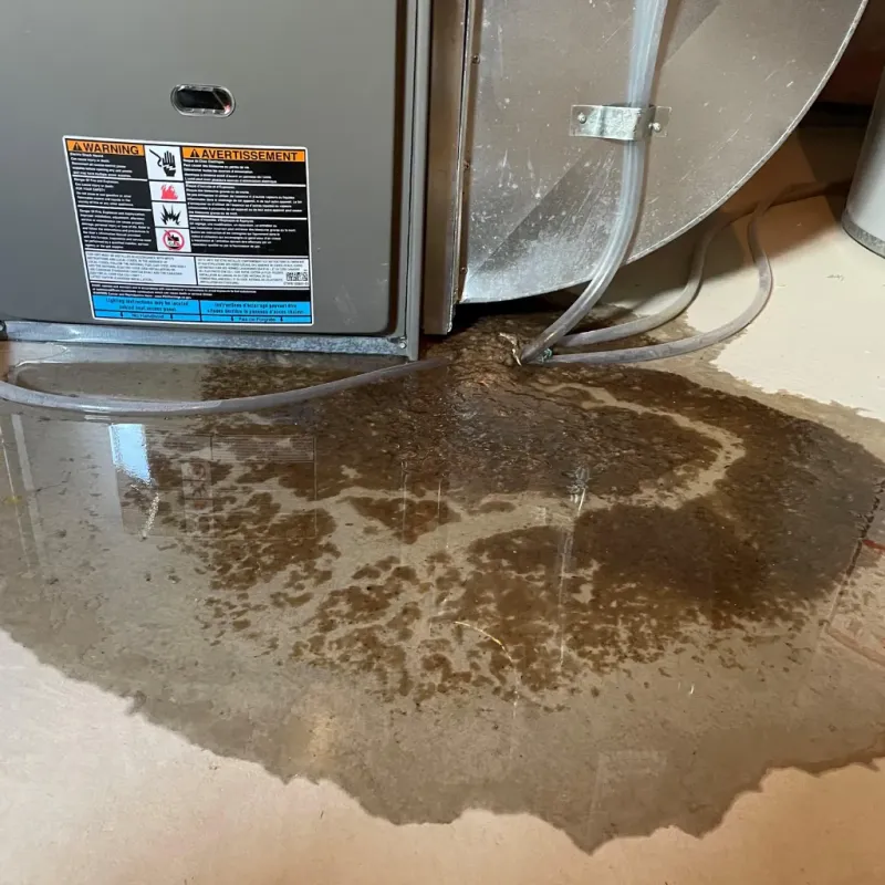 Appliance Leak Cleanup in Balfour, NC